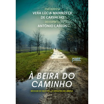 à Beira Do Caminho