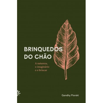 Brinquedos Do Chão: A Natureza, O Imaginário E O Brincar