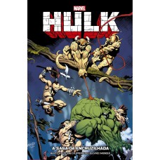 Hulk: A Saga Da Encruzilhada: Marvel Vintage