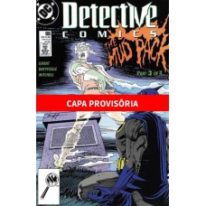 A Saga Do Batman Vol.13