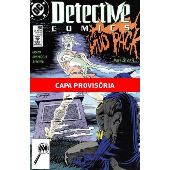 A Saga Do Batman Vol.13