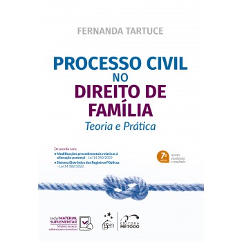 Processo Civil No Direito De Família - Teoria E Prática