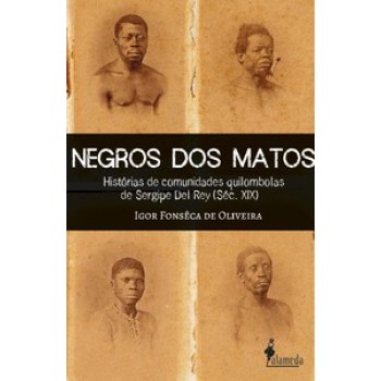 Negros Dos Matos: Histórias De Comunidades Quilombolas De Sergipe Del Rey (séc. Xix)