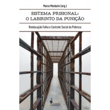 O Sistema Prisional: O Labirinto Da Punição: Reeducação Falha E Controle Social Da Pobreza