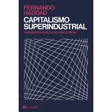 Capitalismo Superindustrial: Caminhos Diversos, Destino Comum