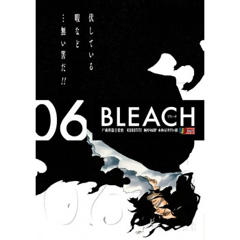 Bleach Remix Vol. 6