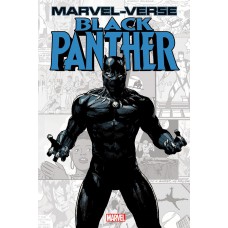 Pantera Negra (marvel-verso)