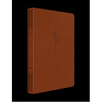 Bíblia Nvt Ilament (marrom, Luxo Couro Sintético): Slim Letra Grande