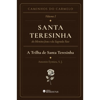 A Trilha De Santa Teresinha - Coleção Caminhos Do Carmelo - Vol. I