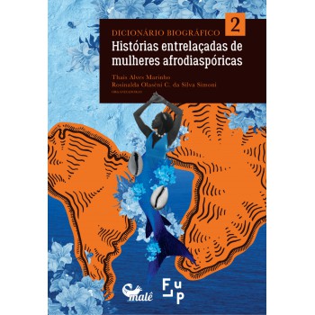 Dicionário Biográfico Histórias Entrelaçadas De Mulheres Afrodiaspóricas Vol. 2