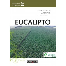 Eucalipto