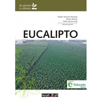 Eucalipto