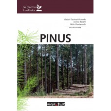 Pinus: Do Plantio à Colheita