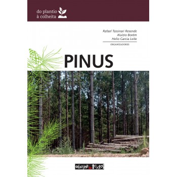 Pinus: Do Plantio à Colheita