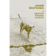 O Obsceno Pássaro Da Noite