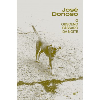 O Obsceno Pássaro Da Noite