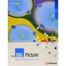 THE BIG PICTURE BEGINNER SB