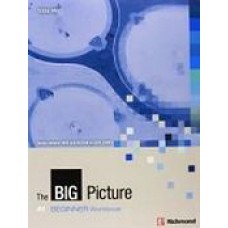 THE BIG PICTURE BEGINNER WB CD