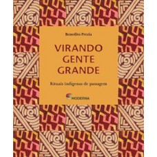 Virando Gente Grande: Rituais Indígenas De Passagem