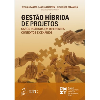 Gestão Híbrida De Projetos