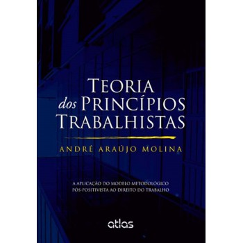 Teoria Dos Princípios Trabalhistas Aplicação Modelo Metodológico Pós-Positivista Ao Dto Do Trabalho