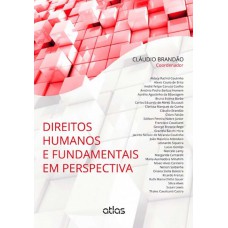 Direitos Humanos E Fundamentais Em Perspectiva