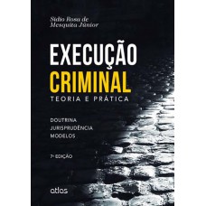 Execução Criminal: Teoria E Prática