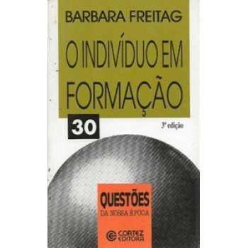 O Indivíduo Em Formação: Diálogos Interdisciplinares Sobre Educação