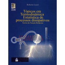 Tópicos Em Termodinâmica Estatística E Processos Dissipativos: Teoria Da Função-resposta