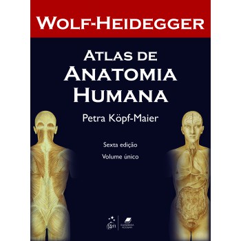 Atlas De Anatomia Humana