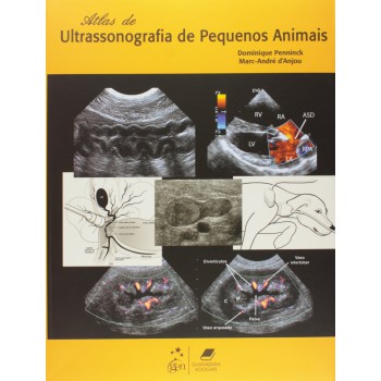 Ultrassonografia De Pequenos Animais