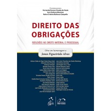 Direito das Obrigações - Reflexões no Direito Material e Processual