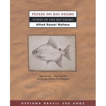 PEIXES DO RIO NEGRO / FISHES OF THE RIO NEGRO