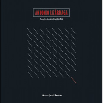 ANTONIO LIZÁRRAGA: QUADRADOS EM QUADRADOS