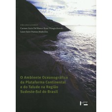 O AMBIENTE OCEANOGRÁFICO DA PLATAFORMA CONTINENTAL E DO TALUDE NA REGIÃO SUDESTE-SUL DO BRASIL