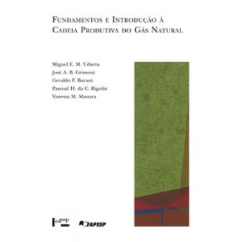 FUNDAMENTOS E INTRODUÇÃO À CADEIA PRODUTIVA DO GÁS NATURAL