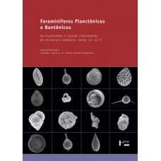 FORAMINÍFEROS PLANCTÔNICOS E BENTÔNICOS: DA PLATAFORMA E TALUDE CONTINENTAL DO ATLÂNTICO SUDOESTE, ENTRE 19°-33°S