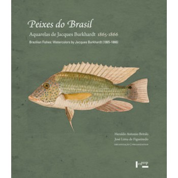 PEIXES DO BRASIL: AQUARELAS DE JACQUES BURKHARDT (1865-1866) / BRAZILIAN FISHES: WATERCOLORS BY JACQUES BURKHARDT (1865-1866)