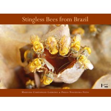 STINGLESS BEES FROM BRAZIL