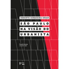 SÃO PAULO NA VISÃO DO URBANISTA