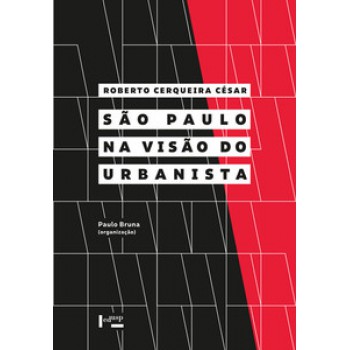 SÃO PAULO NA VISÃO DO URBANISTA