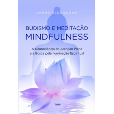 Budismo E Meditação Mindfulness: A Neurociência Da Atenção Plena E A Busca Pela Iluminação Espiritual