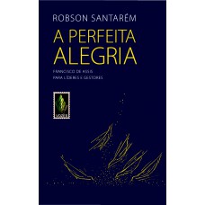 A Perfeita Alegria: Francisco De Assis Para Líderes E Gestores