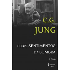 Sobre Sentimentos E A Sombra: Sessões De Perguntas De Winterhur