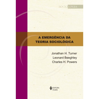 A Emergência Da Teoria Sociológica