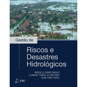 Gestão De Riscos E Desastres Hidrológicos