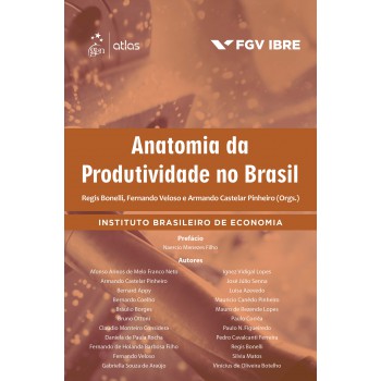 Anatomia da Produtividade no Brasil