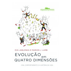 Evolução em quatro dimensões