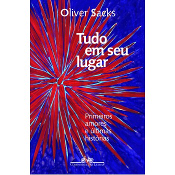 Tudo Em Seu Lugar: Primeiros Amores E últimas Histórias