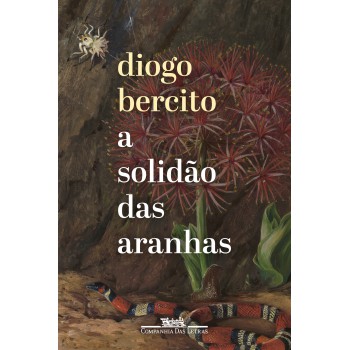 A Solidão Das Aranhas